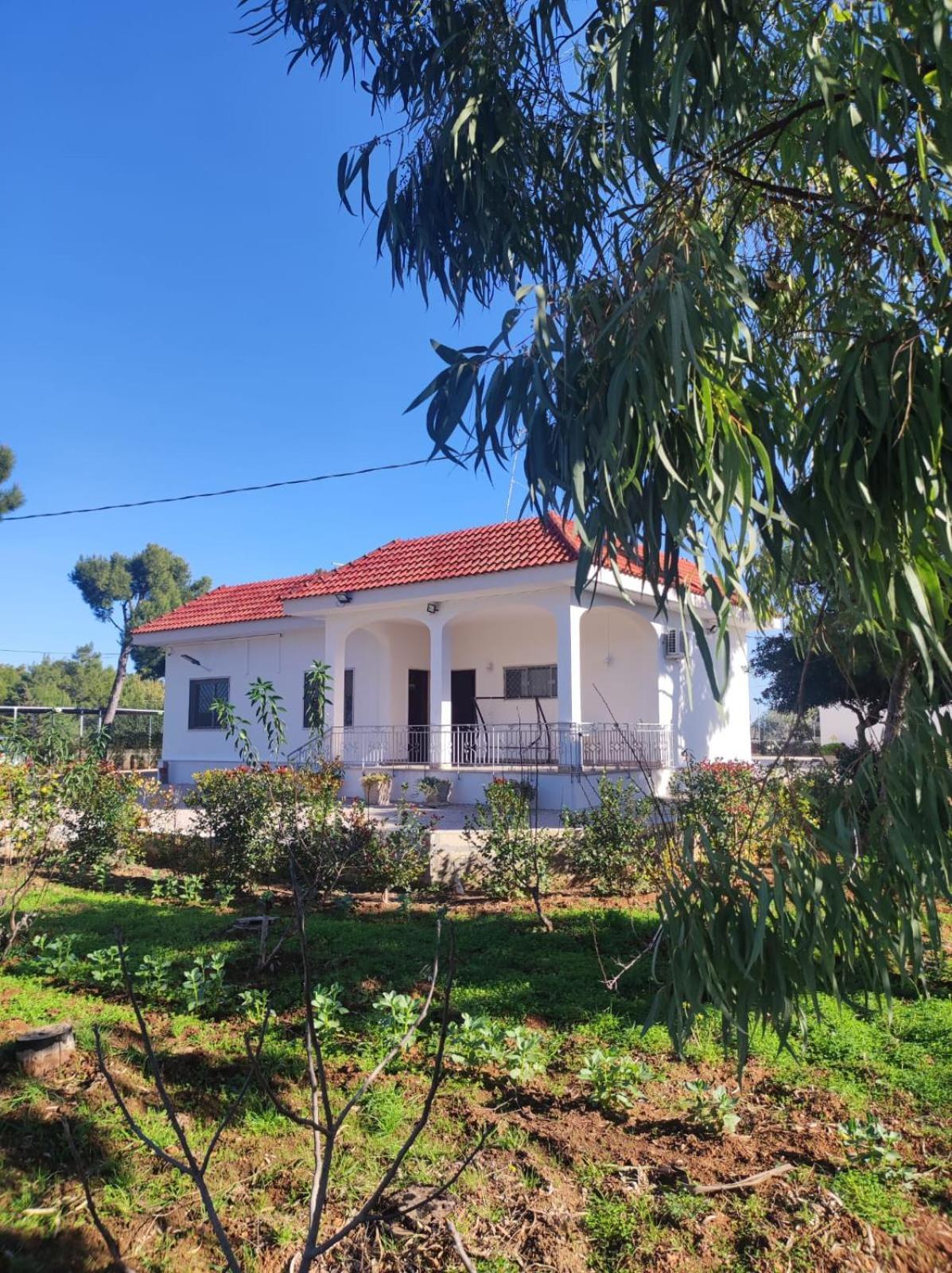 B&B Villa Vittorio 갈라토네 외부 사진